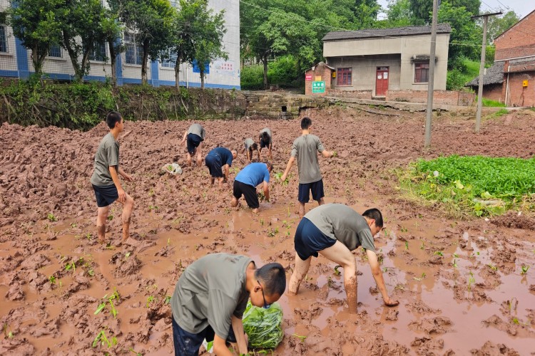 四川成才新教育农耕体验